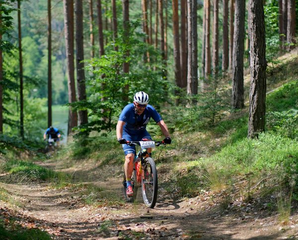 La luge paralympique : histoire règles et champions